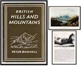 Peter Bicknell